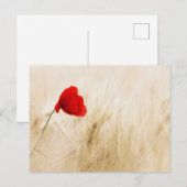 Standardpostkarte Postkarte (Vorne/Hinten)