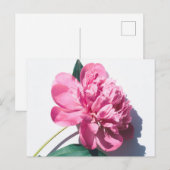 Standardpostkarte Postkarte (Vorne/Hinten)
