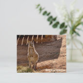 Standardpostkarte Postkarte (Stehend Vorderseite)