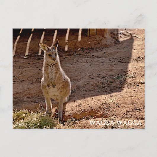 Standardpostkarte Postkarte (Vorderseite)