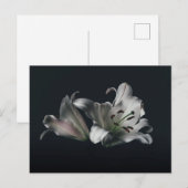 Standardpostkarte Postkarte (Vorne/Hinten)