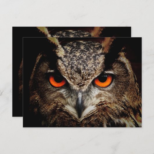 Standardpostkarte Postkarte (Vorne/Hinten)