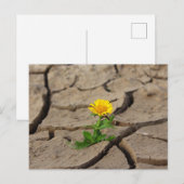 Standardpostkarte Postkarte (Vorne/Hinten)