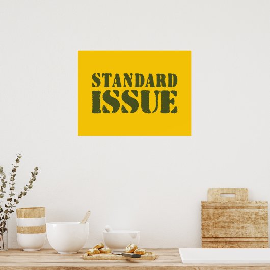 STANDARDPROBLEME POSTER (Küche)