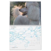 Standardpudel 2010 kalender (Mär 2027)