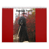 Standardpudel 2010 kalender (Titelbild)