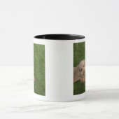 Standardpudel 2 tasse (Zentrum)