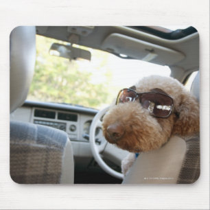 Standardpudel 3 mousepad