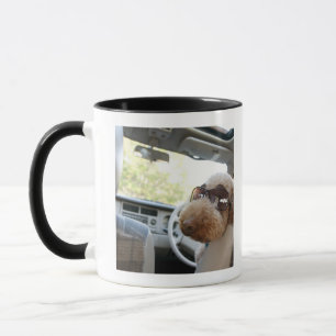 Standardpudel 3 tasse