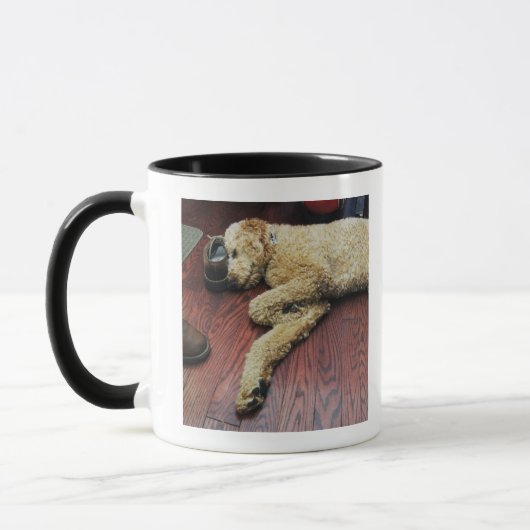 Standardpudel, der auf Boden schläft Tasse (Links)