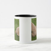 Standardpudel Tasse (Zentrum)