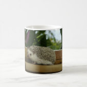 Standardverpackung um Tasse (Mittel)