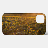 Ständer von Balsamroot-Wildblumen Case-Mate iPhone Hülle (Rückseite (Horizontal))