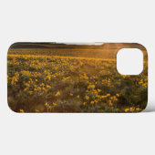 Ständer von Balsamroot-Wildblumen Case-Mate iPhone Hülle (Rückseite (Horizontal))