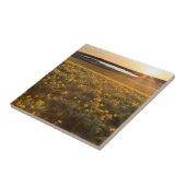 Ständer von Balsamroot-Wildblumen Fliese (Seite)