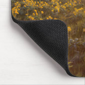 Ständer von Balsamroot-Wildblumen Mousepad (Ecke)