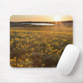 Ständer von Balsamroot-Wildblumen Mousepad (Mit Mouse)