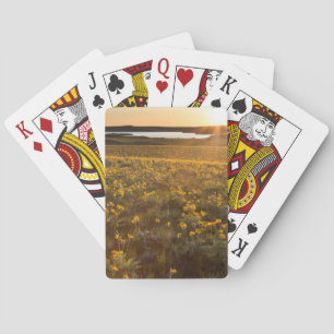 Ständer von Balsamroot-Wildblumen Spielkarten