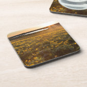 Ständer von Balsamroot-Wildblumen Untersetzer (Linke Seite)