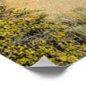 Standing Cactus Poster (Ecke)