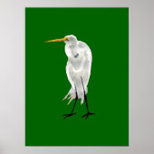 Standing Egret Poster (Vorne)