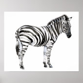 Standing Zebra Poster (Vorne)