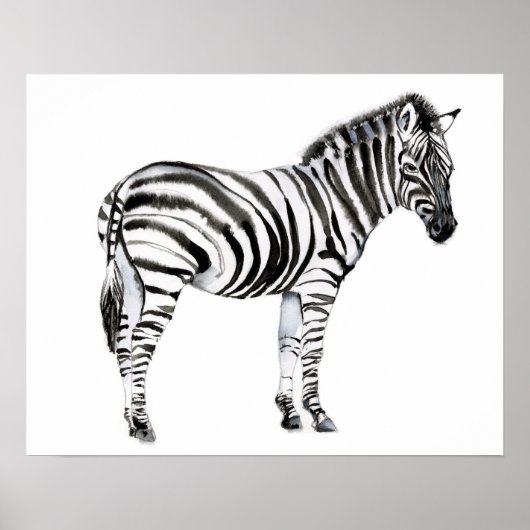 Standing Zebra Poster (Vorne)