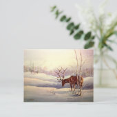 STANDOFF VON SHARON SHARPE POSTKARTE (Stehend Vorderseite)