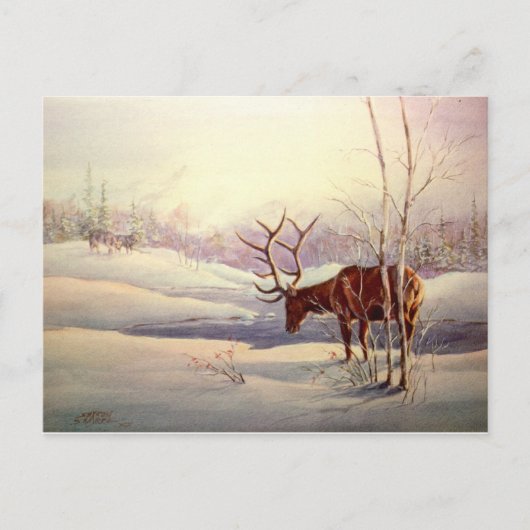 STANDOFF VON SHARON SHARPE POSTKARTE (Vorderseite)
