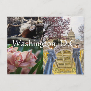 Standorte in Washington, D.C. Postkarte