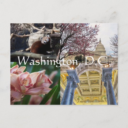 Standorte in Washington, D.C. Postkarte (Vorderseite)