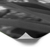 Standout Tulip Poster (Ecke)