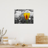 Standout Tulip Poster (Küche)