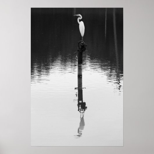 Standreflektion Poster (Vorne)