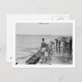 Stanford Rowing Crew Team Fotograf Postkarte (Vorne/Hinten)