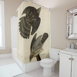Stanley (Cooper's) Hawk Audubons Vögel von Amerika Duschvorhang