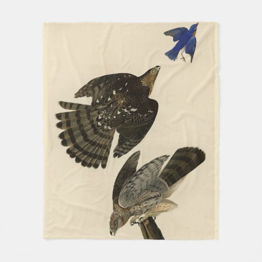 Stanley (Cooper's) Hawk Audubons Vögel von Amerika Fleecedecke (Vorderseite)