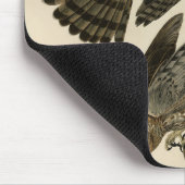 Stanley (Cooper's) Hawk Audubons Vögel von Amerika Mousepad (Ecke)