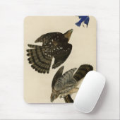 Stanley (Cooper's) Hawk Audubons Vögel von Amerika Mousepad (Mit Mouse)