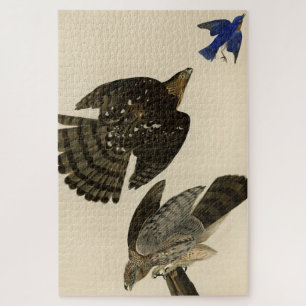 Stanley (Cooper's) Hawk Audubons Vögel von Amerika Puzzle