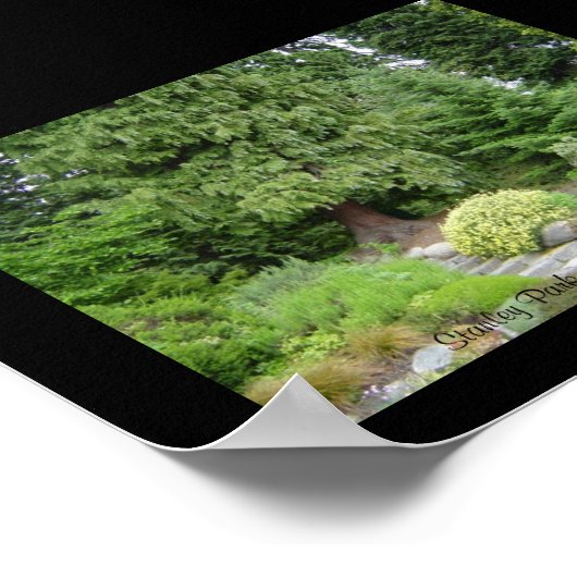 Stanley Park, Vancouver B.C. Poster (Ecke)