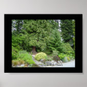 Stanley Park, Vancouver B.C. Poster (Vorne)