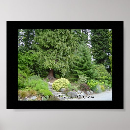 Stanley Park, Vancouver B.C. Poster (Vorne)
