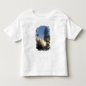 Stanley Park, Wald, Nebel der Meeresschicht Kleinkind T-shirt (Vorderseite)
