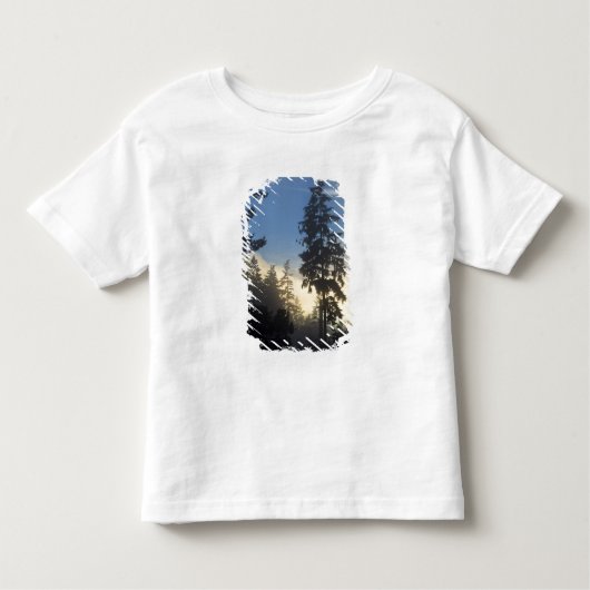 Stanley Park, Wald, Nebel der Meeresschicht Kleinkind T-shirt (Vorderseite)