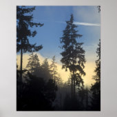 Stanley Park, Wald, Nebel der Meeresschicht Poster (Vorne)