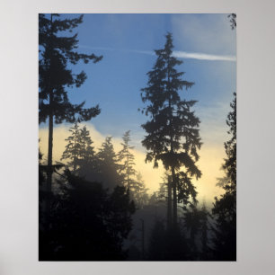 Stanley Park, Wald, Nebel der Meeresschicht Poster