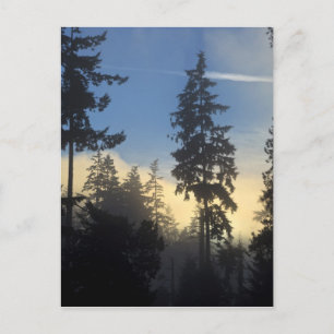 Stanley Park, Wälder, Meeresnebelschicht zieht her Postkarte