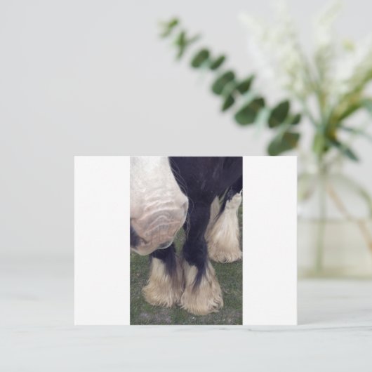 Stanley Postkarte (Stehend Vorderseite)