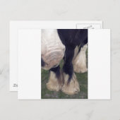 Stanley Postkarte (Vorne/Hinten)